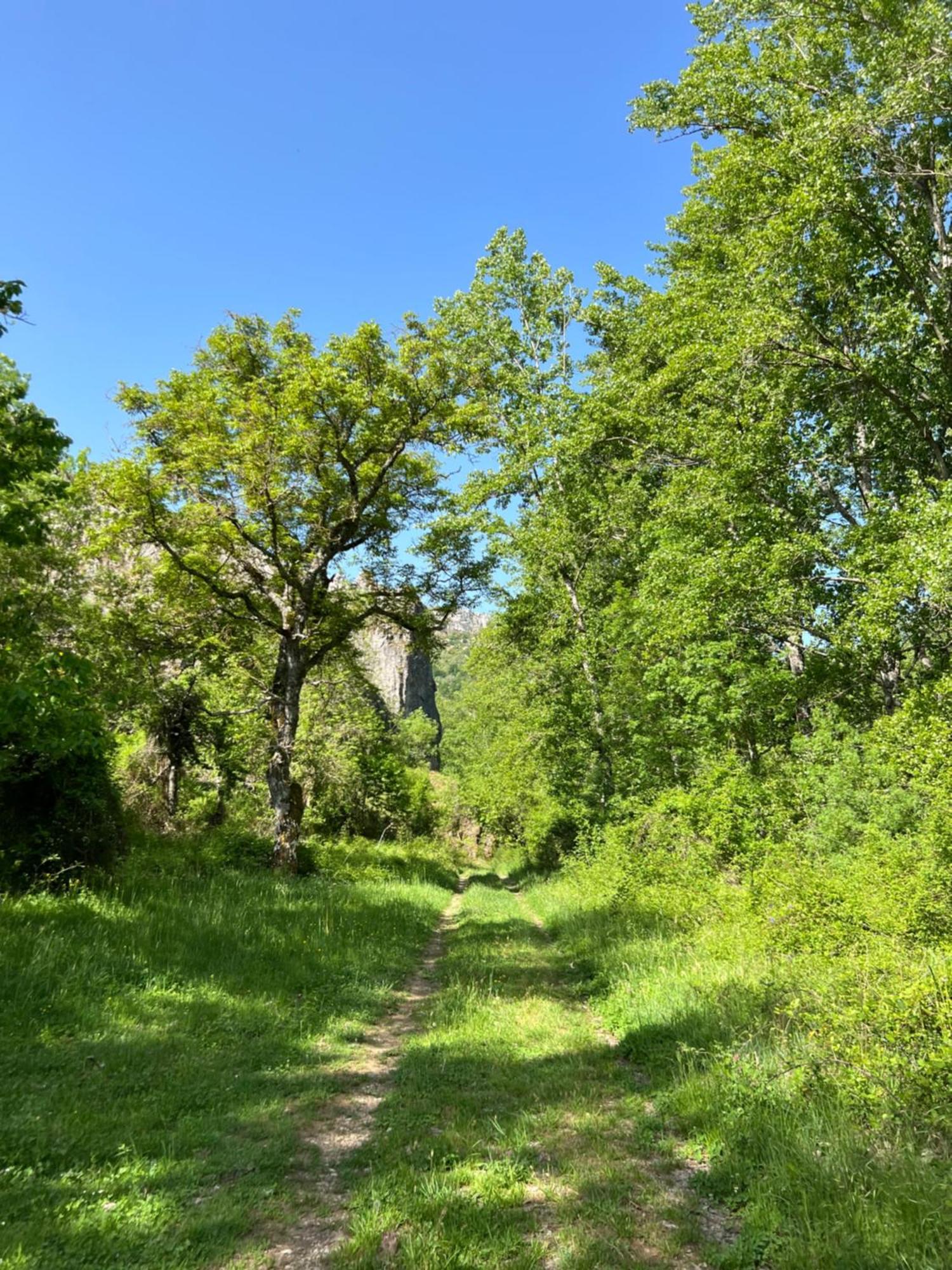 El Refugio I De Verdiago Exteriör bild